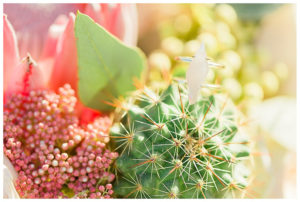 colorful desert anniversary shoot cactus floral ring