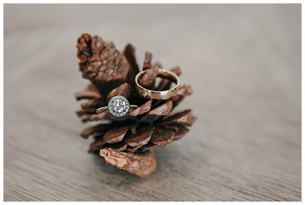 First Wedding at The Farmhouse wedding rings on pinecone